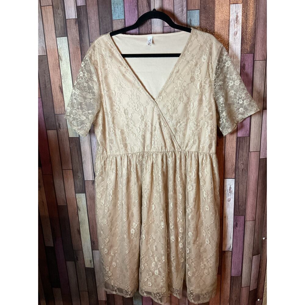 Champagne Short Sleeve Delicate V-Neck Lace Dress Women’s Size 2XL EUC
